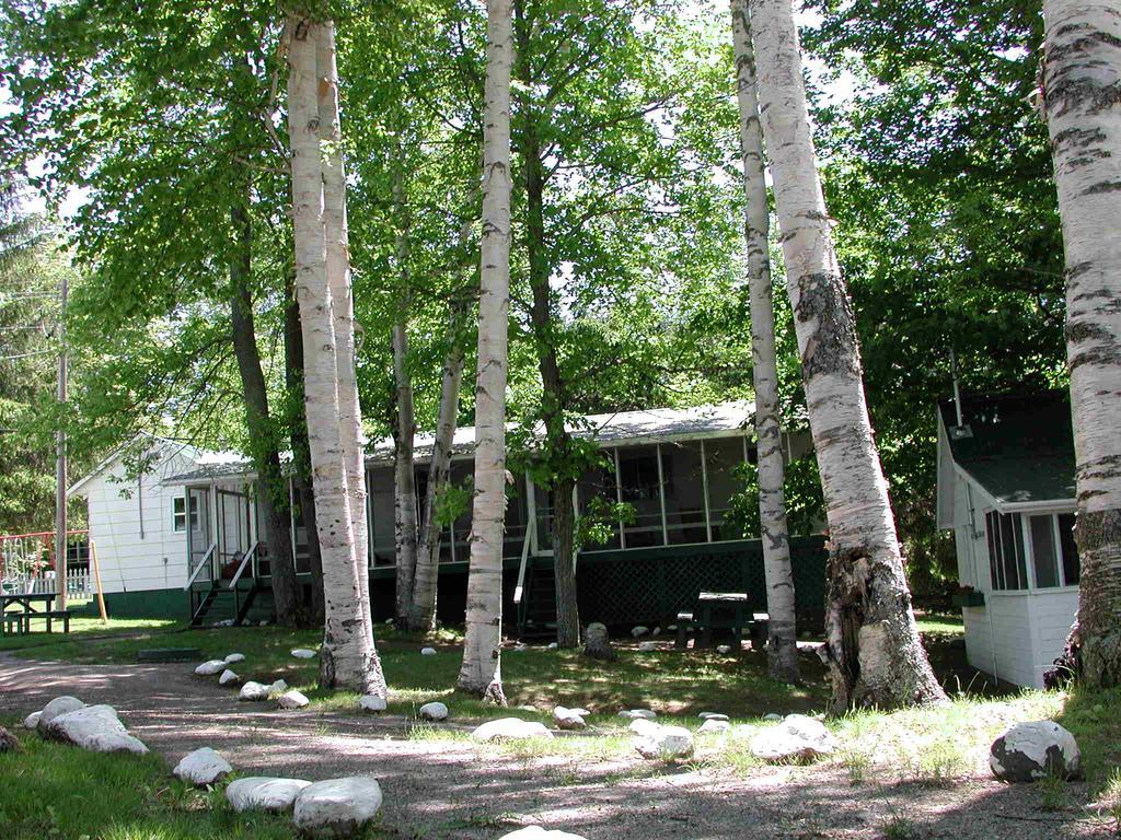 Birch Cliff Lodge On Baptiste Lake Highland Grove Szoba fotó